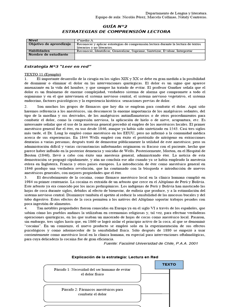 Guía 2 Estrategias De Comprensión Lectora Pdf Anestesia Cocaína