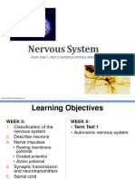 ANAT 1053 Unit 2 Nervous System Part 1 Prof Slides Fall 2021