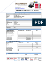 Protocolo de Pruebas