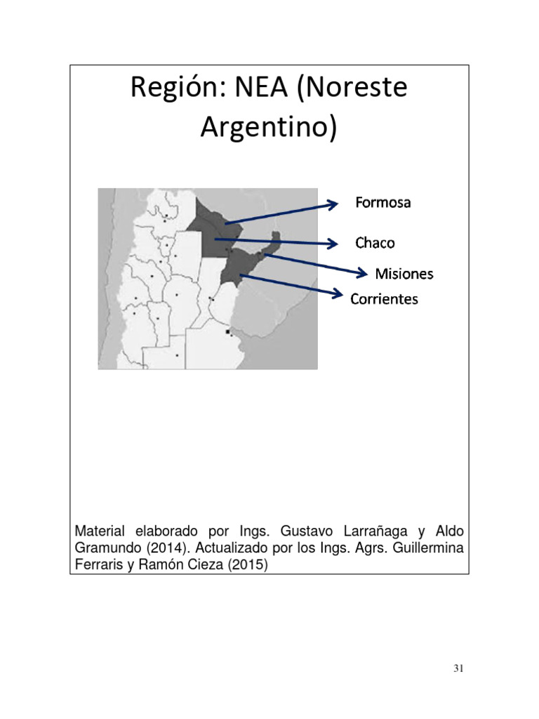 Características de la Región NEA | PDF | Agricultura | Los bosques