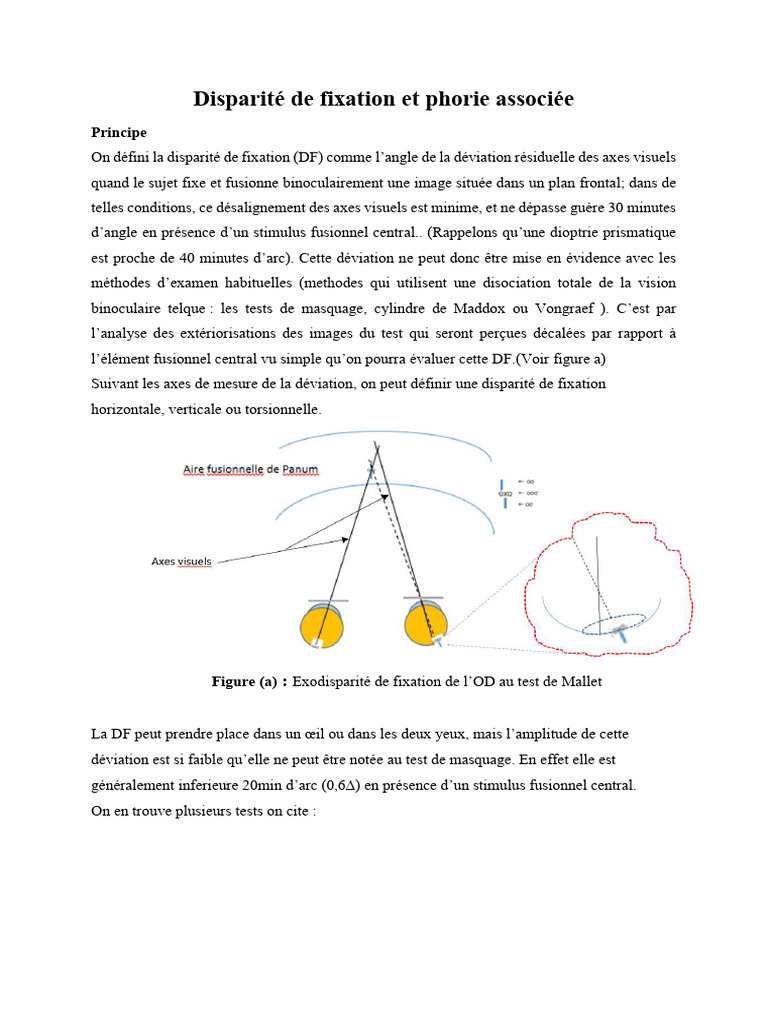 Disparité de fixation et tests associés | PDF | Polarisation (optique ...