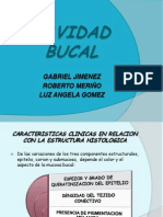 CAVIDAD BUCAL Histologia