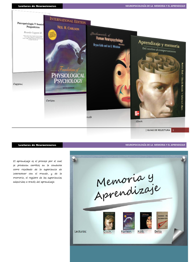 Neuropsicología de Memoria y Aprendizaje | PDF | La potenciación a ...