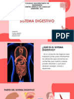 Sistema Digestivo - 20240521 - 001939 - 0000