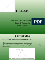 Etiologia 
