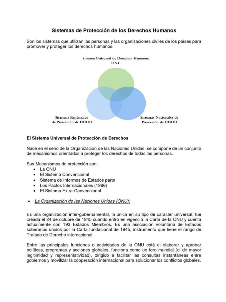 Sistemas de Protección de Derechos Humanos | PDF | Naciones Unidas ...