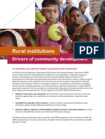 Rural Institutions Drivers of Community Development