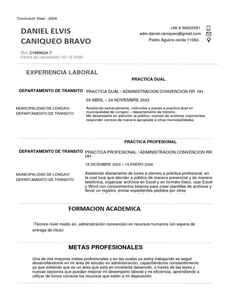 CV Daniel C Bravo Modificado | PDF