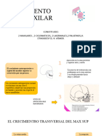 CRECIMIENTO NASOMAXILAR