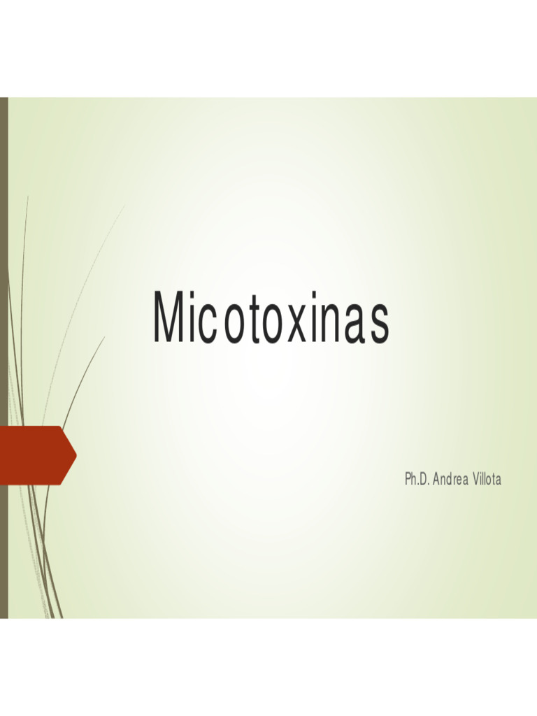 Impacto de las Micotoxinas en la Salud | PDF | Micotoxinas | Toxicología