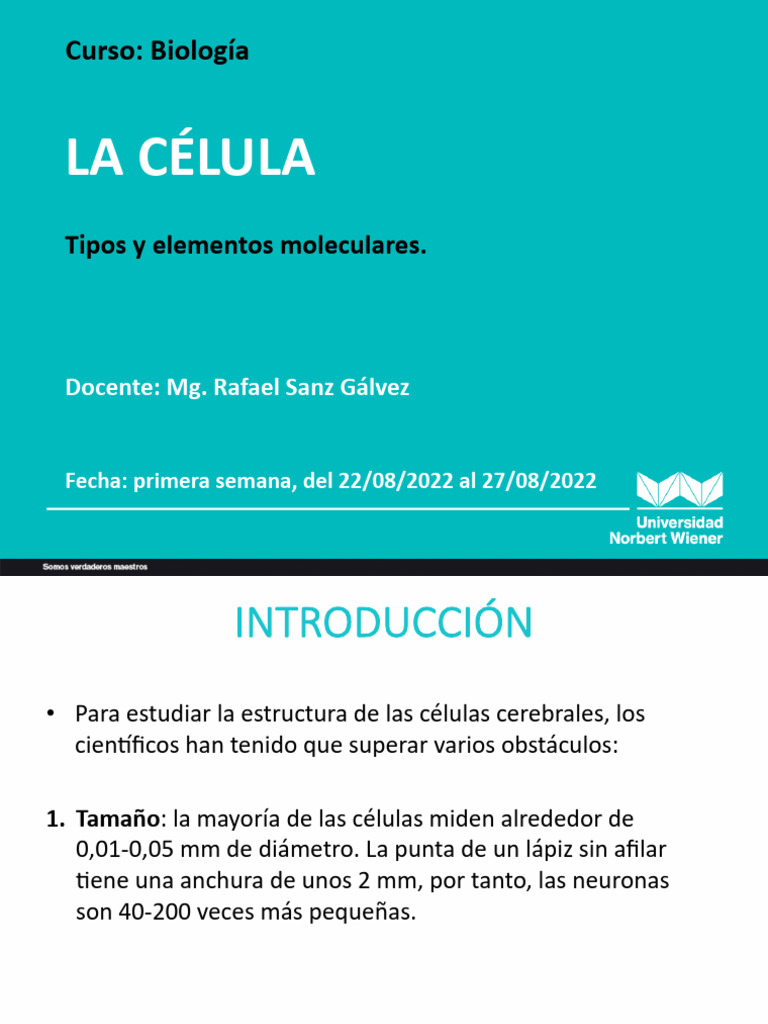 Estructura y Tipos de Células | PDF | Biología Celular) | Eucariotas