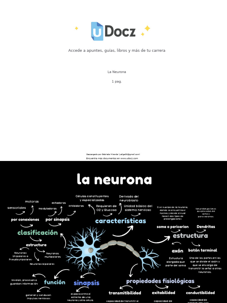 Anatomia de La Neuro 223438 Downloadable 2323950 | PDF | Neurona | Sinapsis