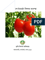 Tomato Distribution System in Bangladesh