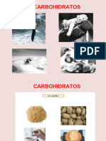 Clase Carbohidratos