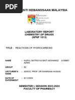 Lab Report 1813