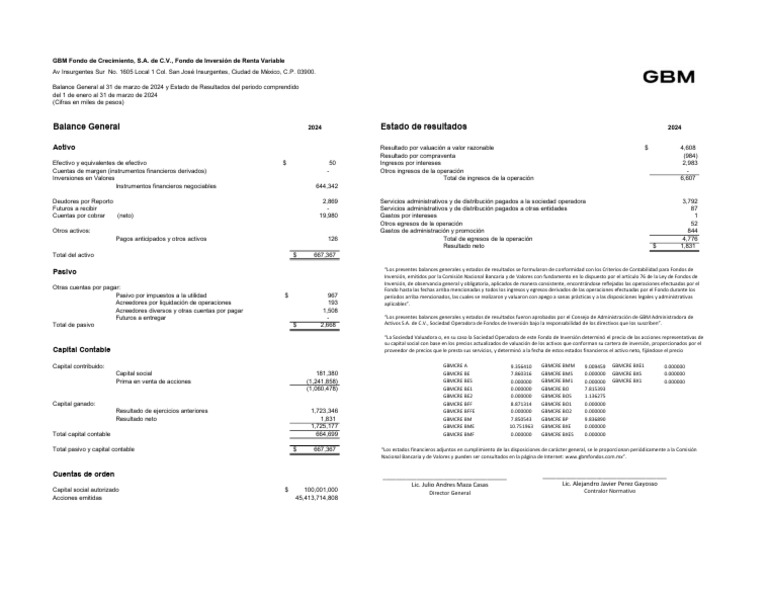 Balance General y Resultados GBM 2024 | PDF | Contabilidad | Estado de ...