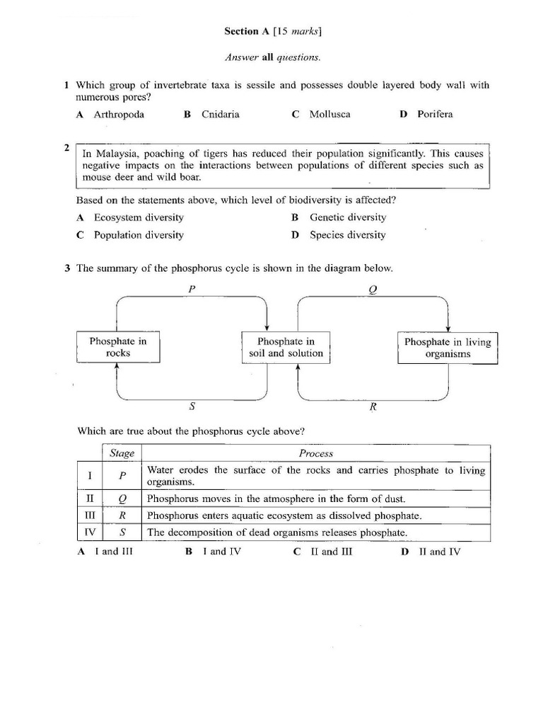 2019 Biology Sem 3 | PDF