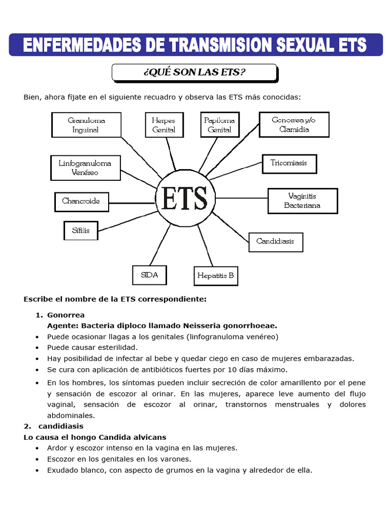 Principales Enfermedades de Transmisión Sexual | PDF | Infección ...