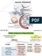 Neurofiz X Kornyei 2017 Asztroglia