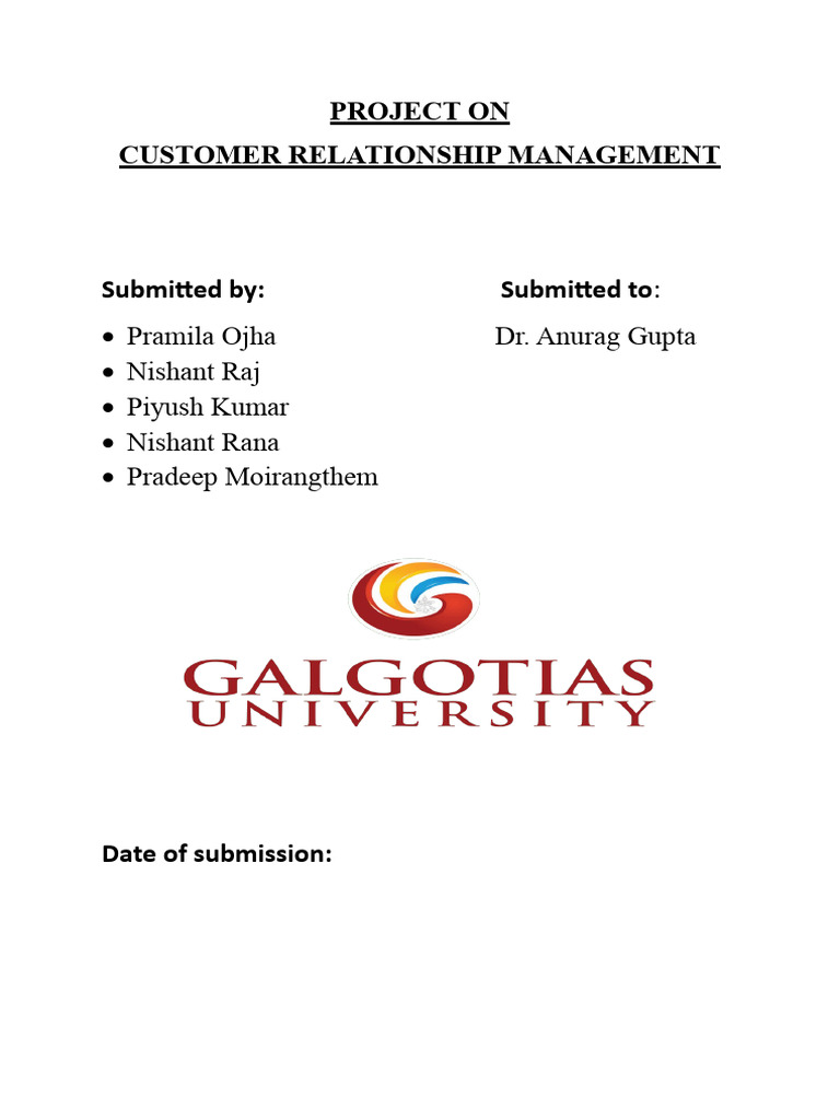 Customer Relationship Management Project | PDF