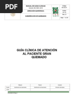 DIR EN GREY -mode of “GAUZE”?- Blu-ray ISBI Guidelines Spanish Final I | PDF | Hospital | Ensayo clínico