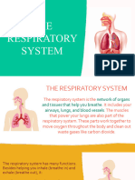 The Respiratory System