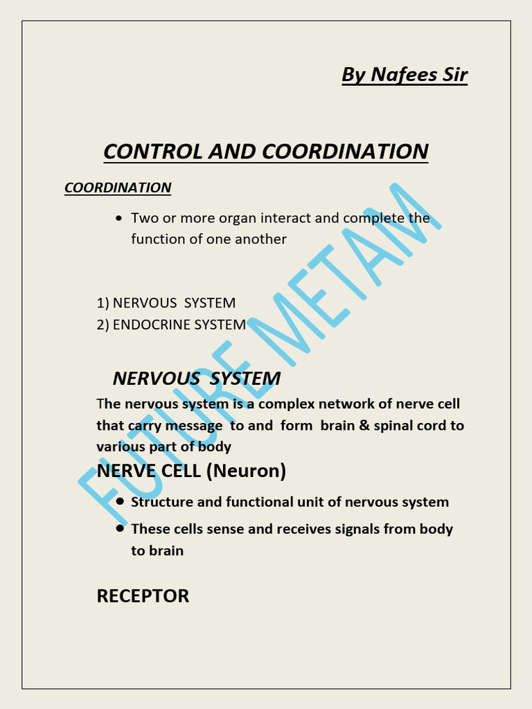 Control and Coordination in Organisms | PDF | Central Nervous System ...
