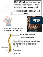 EIXO AXIAL - Caixa Torácica (Esterno, Cartilagens Costais, Costelas, Coluna Vertebral)