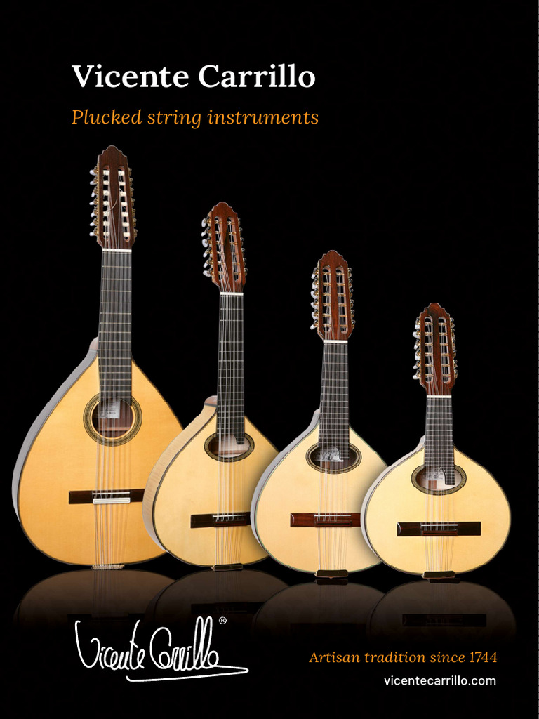 catalogo-plectro-2023-1 | Download Free PDF | Guitars | Celtic Musical ...