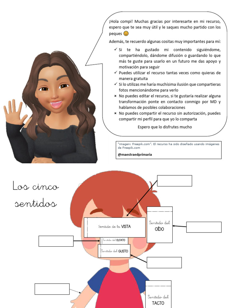 Los Cinco Sentidos Pdf