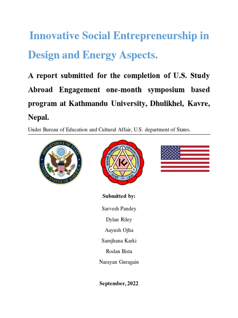 Social Entrepreneurship Insights | PDF | Entrepreneurship | Social ...