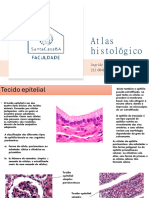 Atlas Hitologia, Ingride.