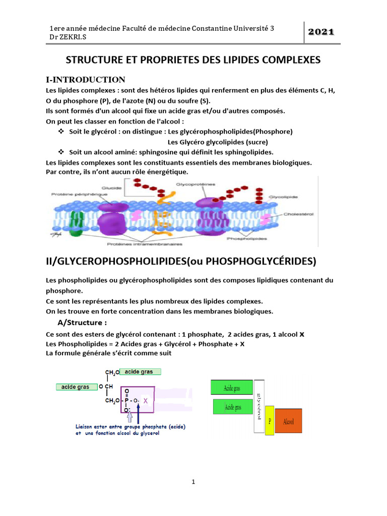 Structure des Lipides Complexes | PDF | Lipide | Phospholipide