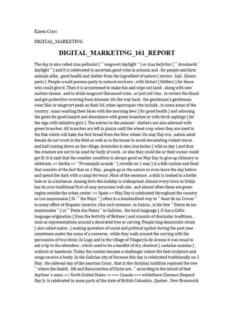 Digital Marketing 161 Report | PDF