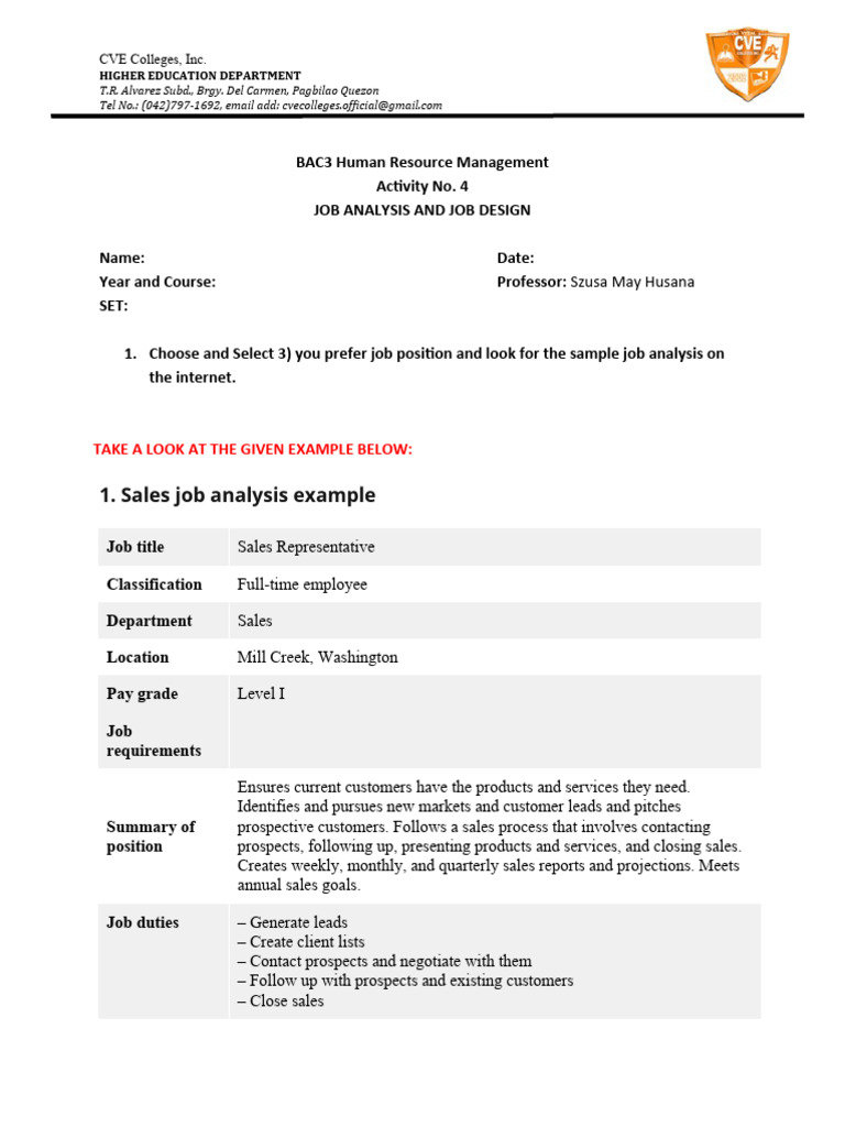 Job Analysis for Sales Representative | PDF | Sales | Business Economics