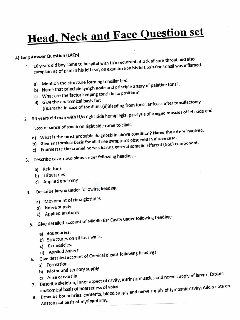 HNF Questions Set | PDF
