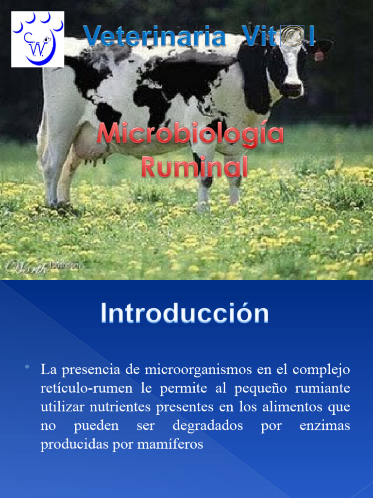 Microorganismos en el Rumen de Rumiantes | PDF | Las bacterias | Hongo