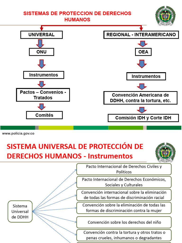 Sistemas de Protección de Derechos Humanos | PDF | Naciones Unidas ...