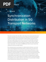 Synchronization Distribution in 5G Transport Networks 0282 EB RevA 0321