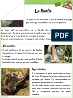 Rallye Lecture Documentaire Animaux LB