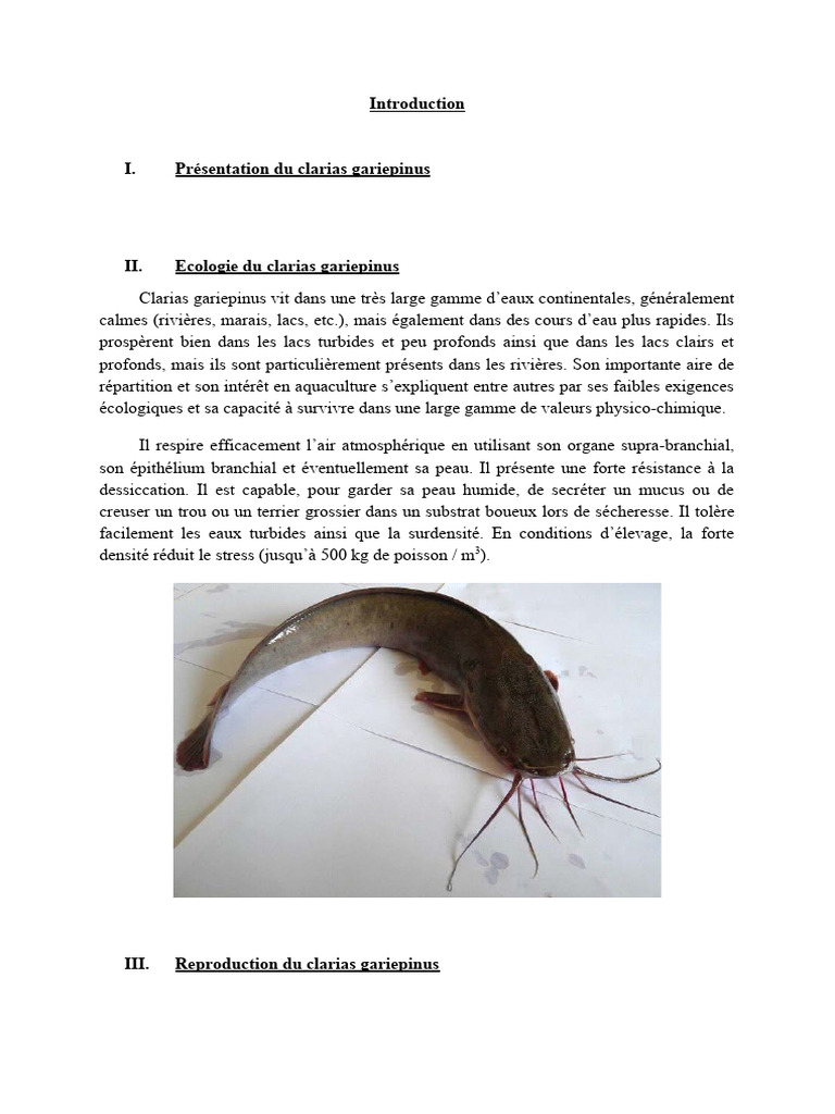 Élevage et reproduction du Clarias gariepinus | PDF | Écologie | la ...