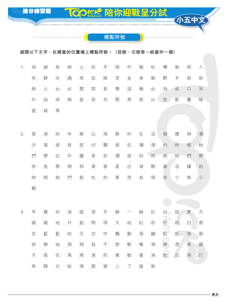 Chinese 33 Exercise | PDF