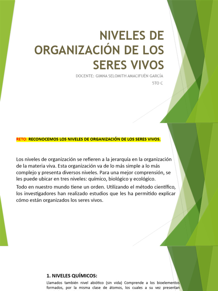 Niveles de Organización de Los Seres Vivos | Descargar gratis PDF ...