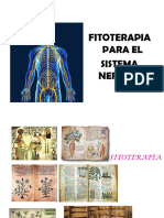 Fitoterapia para El Sistema Nervioso 2024