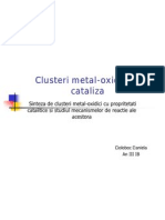 Clusteri Metal-Oxidici in Cataliza