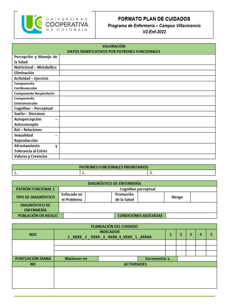 Formato Plan de Cuidados V2-2022 (2) | PDF | Cuidado de la salud ...