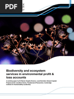 Biodiversity and Ecosystem Services in Environmental Profit & Loss Accounts