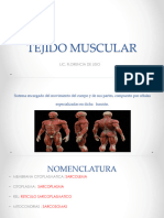 Tejido Muscular Histologia 2024