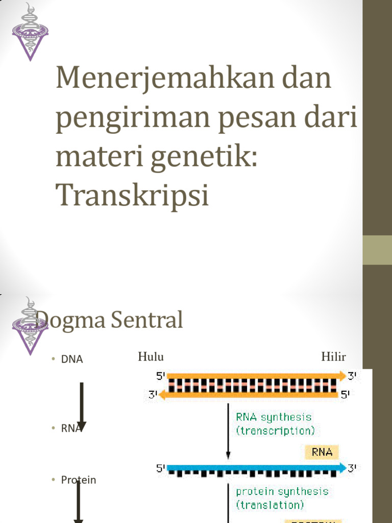 Proses Transkripsi dan Translasi RNA | PDF