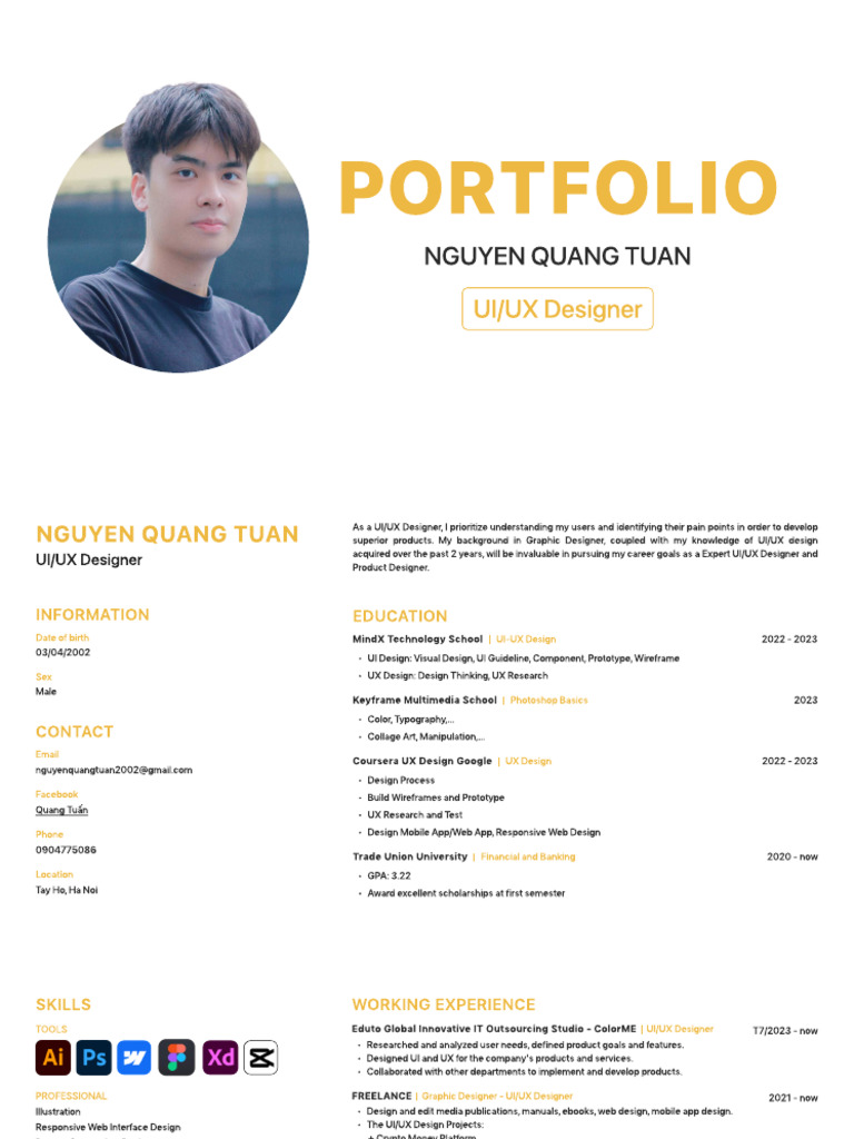 UI/UX Designer Portfolio of Nguyen Tuan | PDF | User Interface | User ...